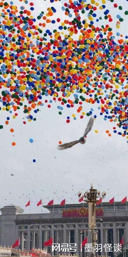 星空体育官网下载-阅兵放飞信鸽翻车现场：不少鸽子“越狱”，原因曝光让养鸽人泪崩