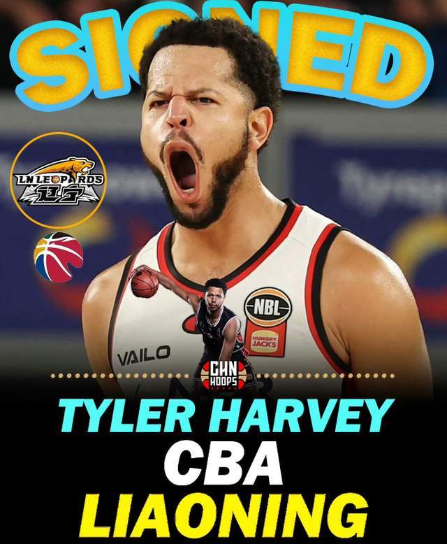 星空体育官网下载-单场33+11超级外援正式重返CBA！辽篮抢人成功，能否补强最大短板