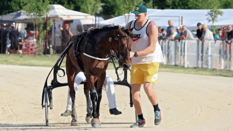 星空体育官网-Shames：约基奇将在赛季结束后从NBA退役，转战马术赛场备战28年奥运会